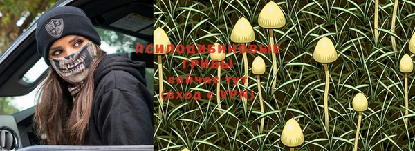 гидропоника Волоколамск