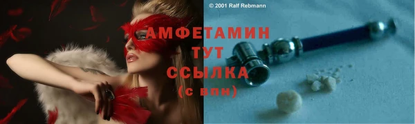 ешки Вяземский