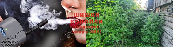 сатива Верхний Тагил