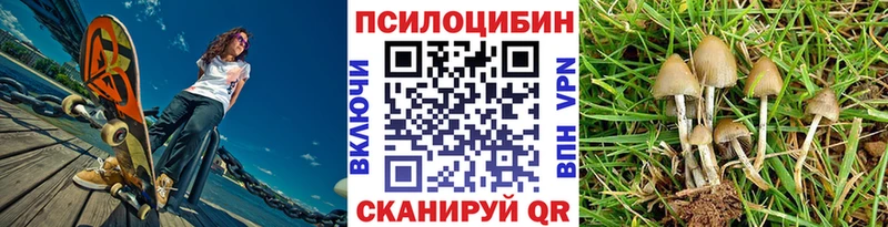 Псилоцибиновые грибы Cubensis  KRAKEN   Исилькуль 